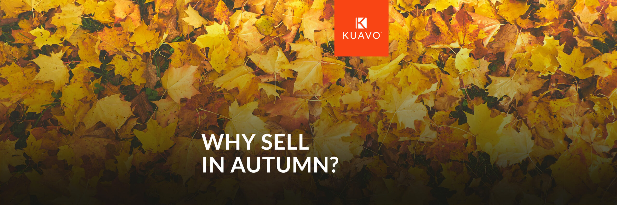 Why Autumn is the Perfect Time to Sell Your Property